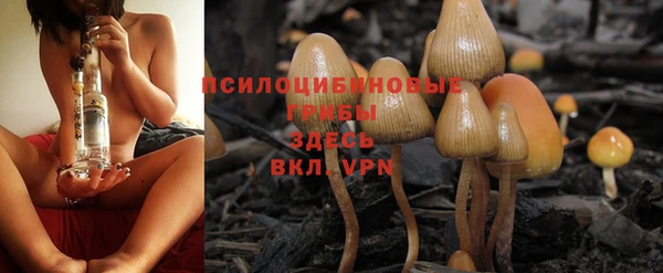 молекула духа Горнозаводск