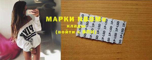 молекула духа Горнозаводск