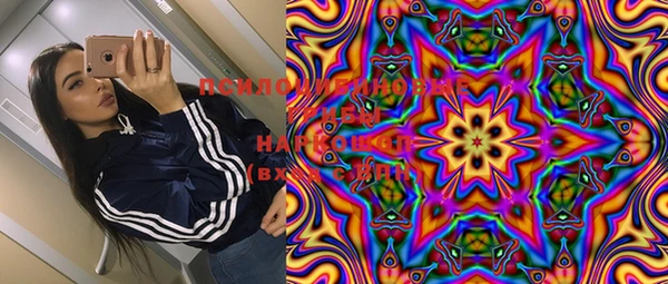 хмурый Горняк