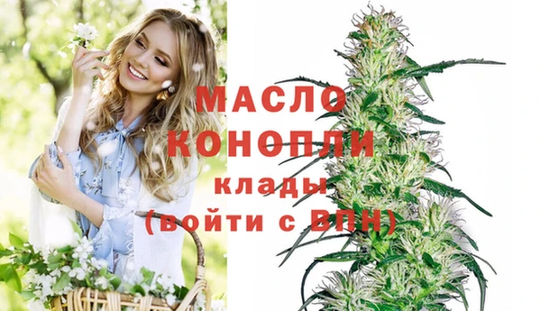 молекула духа Горнозаводск