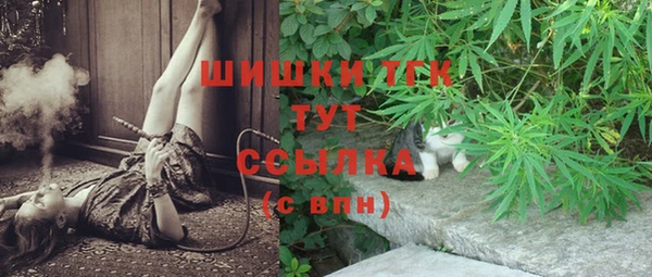 хмурый Горняк