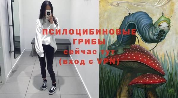 хмурый Горняк