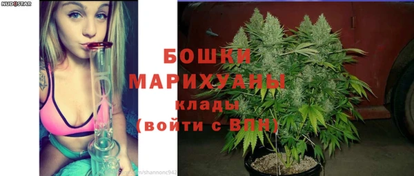 молекула духа Горнозаводск