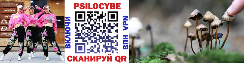 Галлюциногенные грибы MAGIC MUSHROOMS дарнет шоп Ярославль